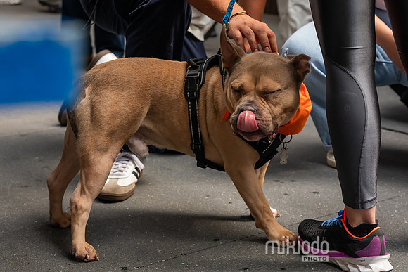 mikiodo260711_4822_LR