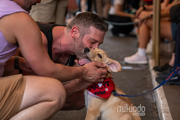 mikiodo260711_4849_LR