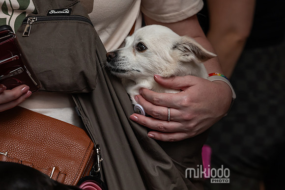 mikiodo260711_4859_LR