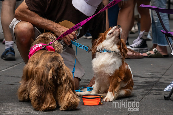 mikiodo260711_4872_LR