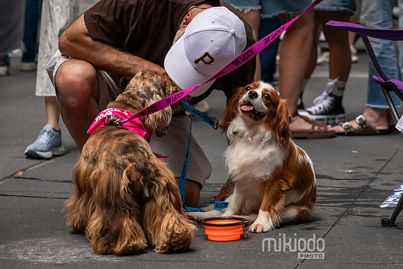 mikiodo260711_4873_LR