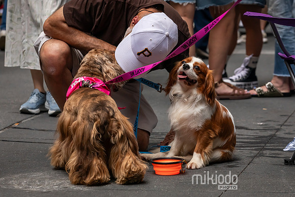 mikiodo260711_4874_LR