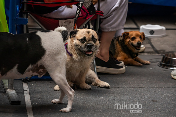mikiodo260711_4881_LR