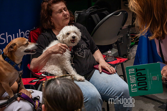 mikiodo260711_4878_LR