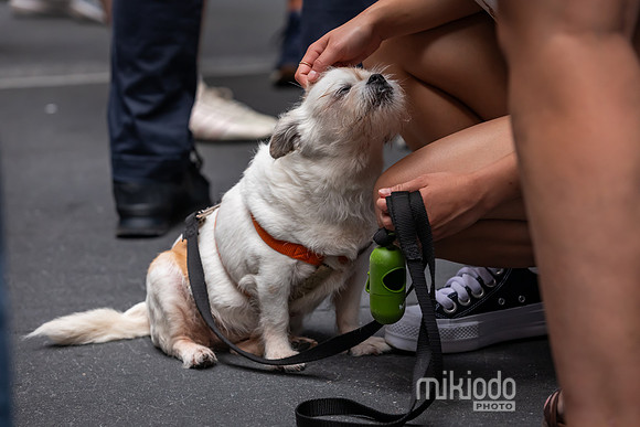 mikiodo260711_4888_LR