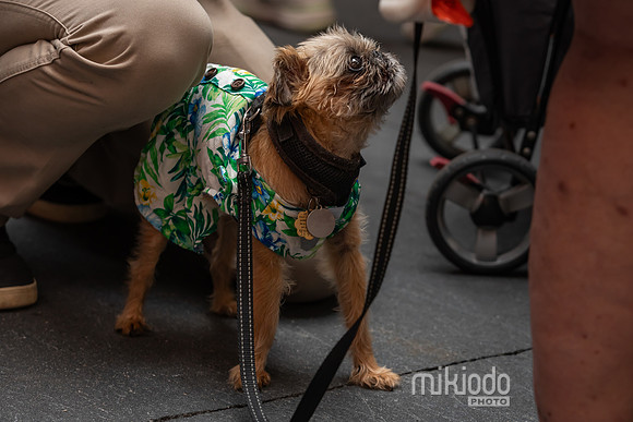 mikiodo260711_4907_LR