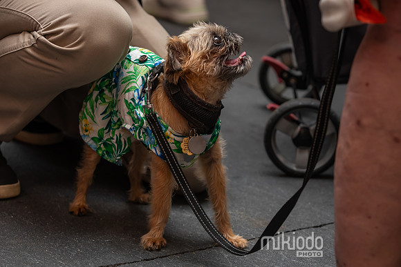 mikiodo260711_4908_LR