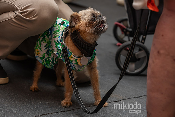 mikiodo260711_4909_LR