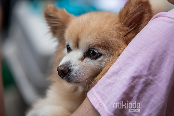 mikiodo260711_4915_LR