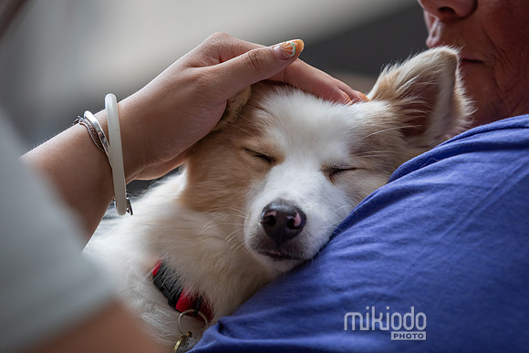 mikiodo260711_4928_LR