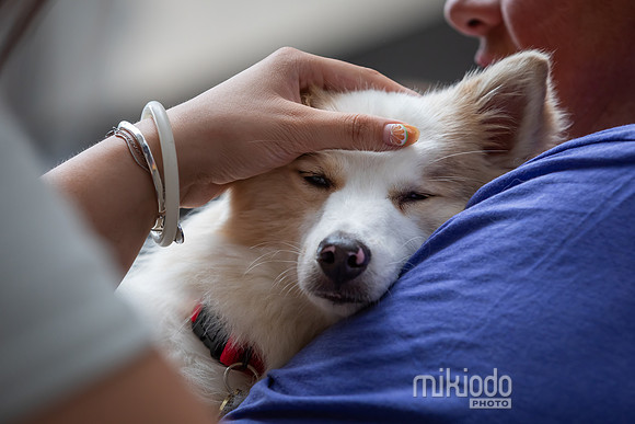mikiodo260711_4929_LR