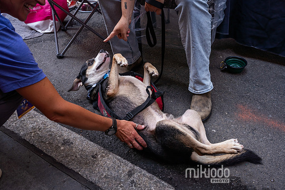mikiodo260711_7451_LR