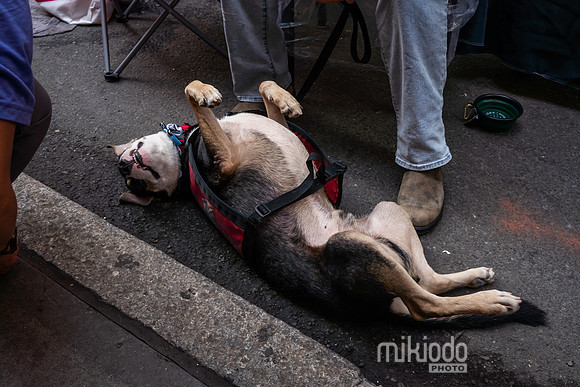 mikiodo260711_7455_LR