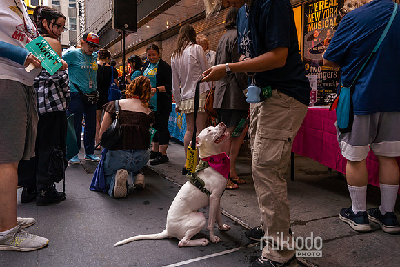 mikiodo260711_7461_LR