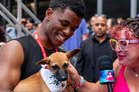 broadway-barks-2026