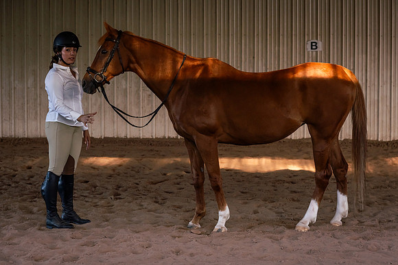 mikiodo260814_00612_MR