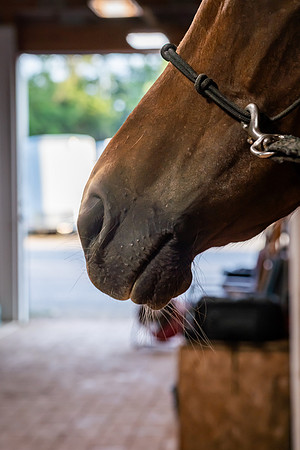 mikiodo260814_00843_MR