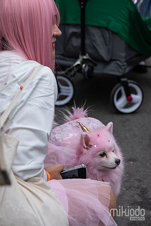 mikiodo261017_0300_LR