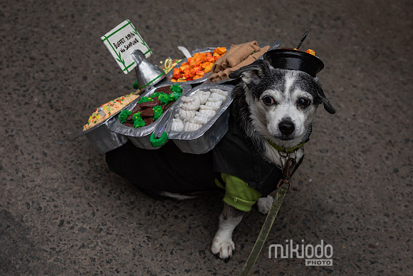 mikiodo261017_0283_LR