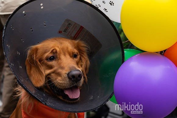mikiodo261017_0270_LR