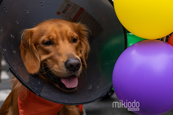 mikiodo261017_0274_LR