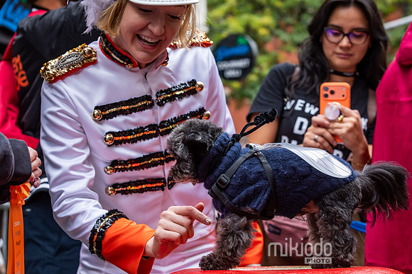 mikiodo261017_0289_LR