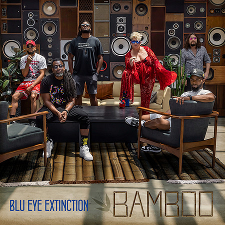 bamboo-single-cover-HR-300dpi-3kx3k
