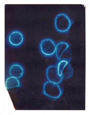 familyscans1_1316_a