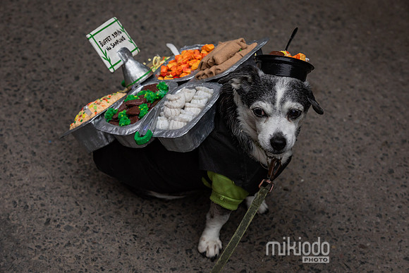 mikiodo261017_0285_LR