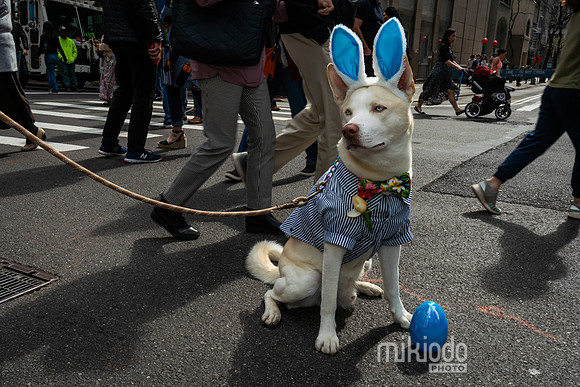 mikiodo250420_03251_LR