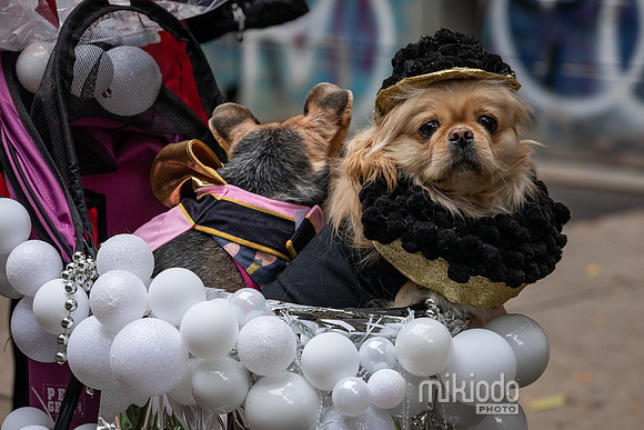 mikiodo261017_0235_LR