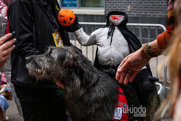 mikiodo261017_0279_LR