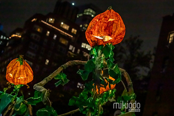 mikiodo231031_7987_LR