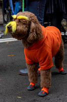 mikiodo261017_0214_LR