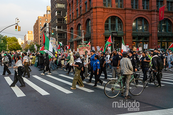 mikiodo250515_2982_LR