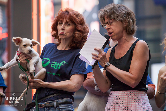 Broadway Barks 2014