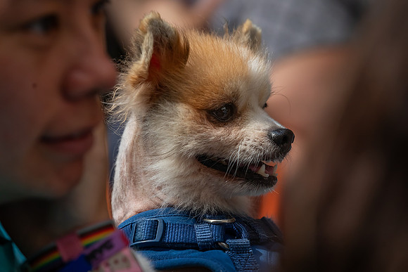 mikiodo240803_9003_LR
