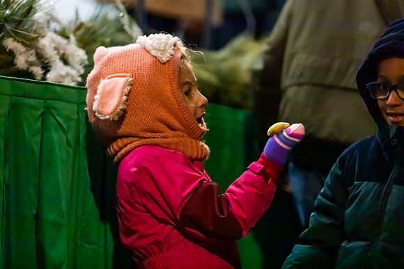 mikiodo241212_0223_LR