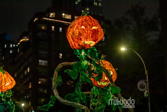 mikiodo231031_7985_LR