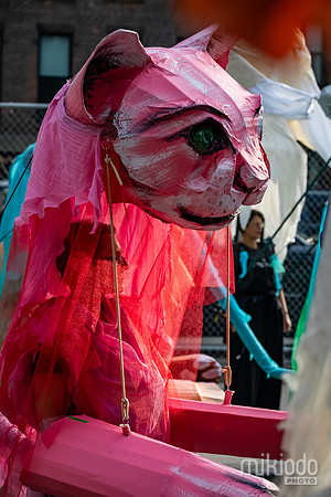 mikiodo241031_8375_LR