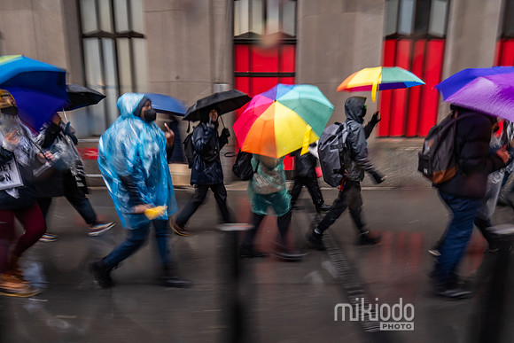 mikiodo240323_07730_LR