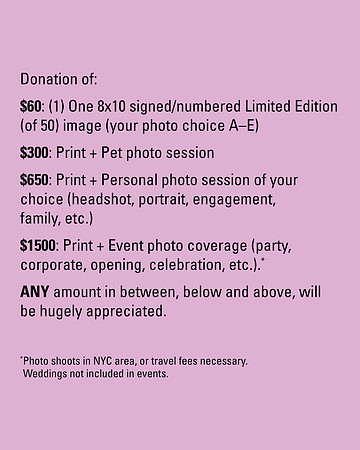 fundraiser pitch IG9