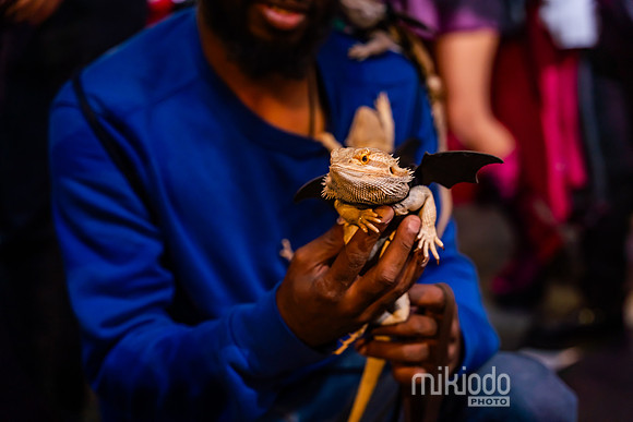 mikiodo241031_03906_LR