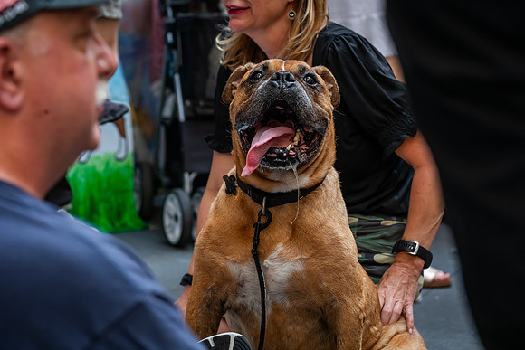 mikiodo240803_8954_LR