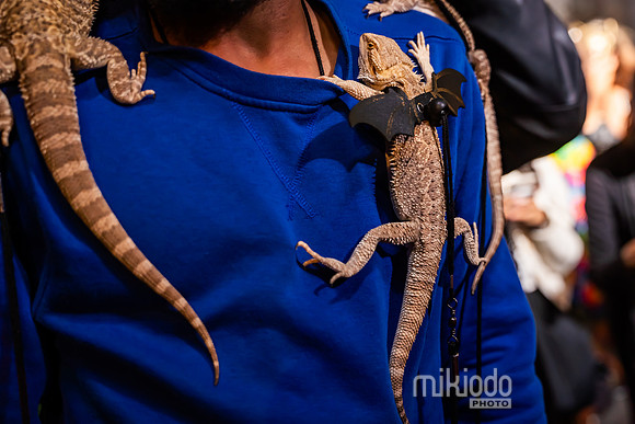 mikiodo241031_03890_LR