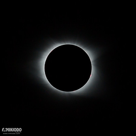 mikiodo170819_8330_LR