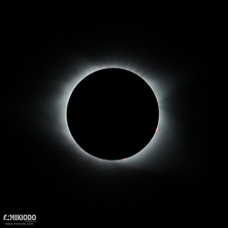 mikiodo170819_8336_LR