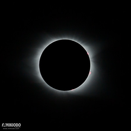 mikiodo170819_8343_LR