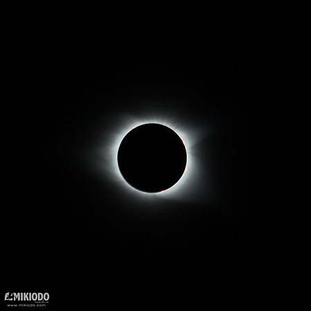 mikiodo170819_8351_LR