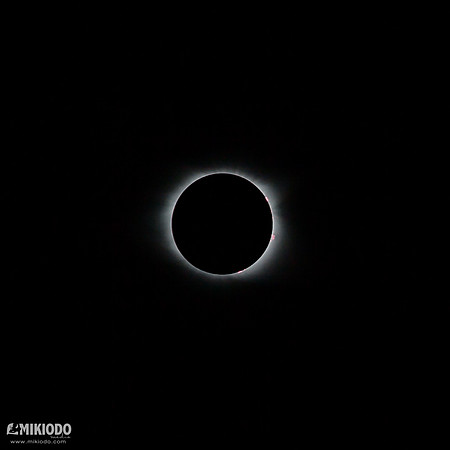 mikiodo170819_8353_LR